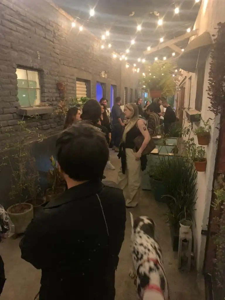 Visitors and a dog in the courtyard under string lights, Bright Moments Mexico City.
