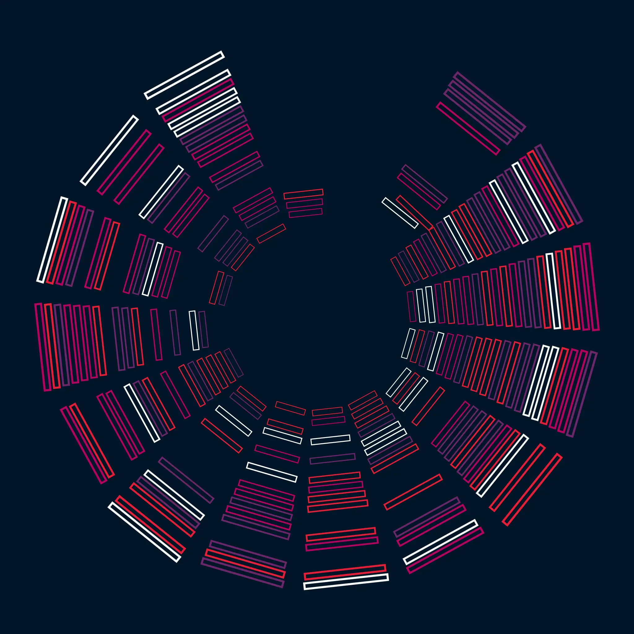 THE PERSISTENCE OF ORDER #21: short coloured dashes arranged in concentric circles on a dark background