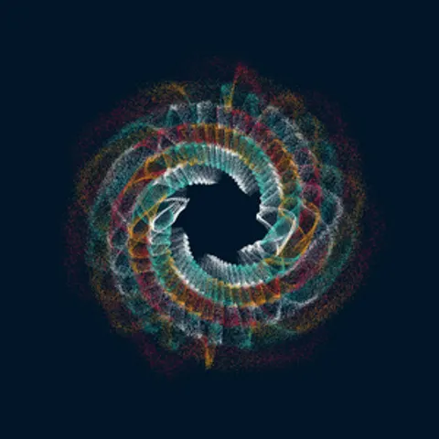 CIRCULAR MURMURATIONS #100