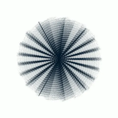 CIRCULAR MURMURATIONS #104