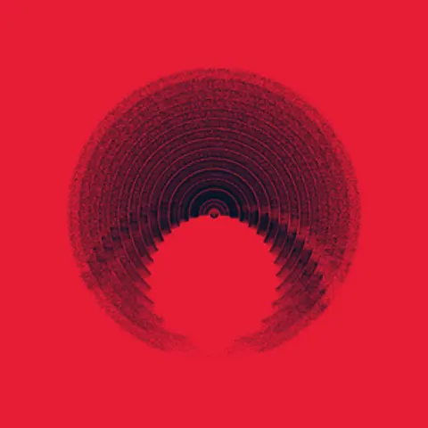 CIRCULAR MURMURATIONS #119