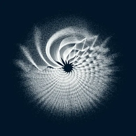 CIRCULAR MURMURATIONS #142