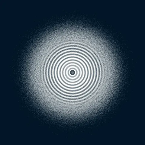CIRCULAR MURMURATIONS #148