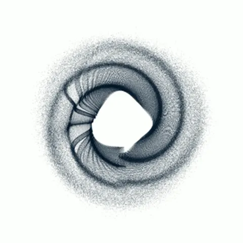 CIRCULAR MURMURATIONS #160
