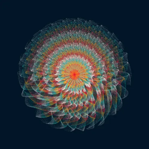 CIRCULAR MURMURATIONS #163