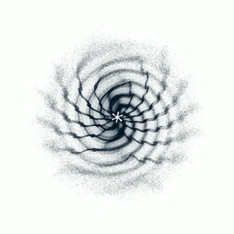 CIRCULAR MURMURATIONS #171
