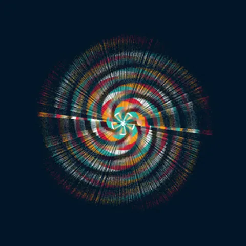 CIRCULAR MURMURATIONS #2