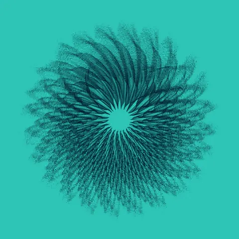 CIRCULAR MURMURATIONS #4