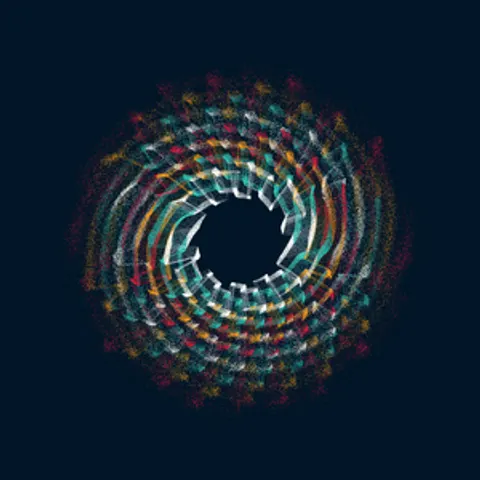 CIRCULAR MURMURATIONS #65