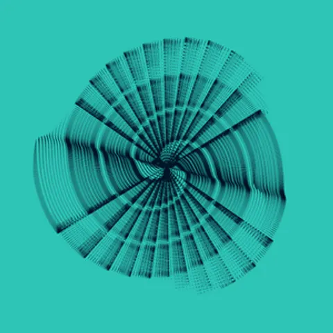 CIRCULAR MURMURATIONS #73