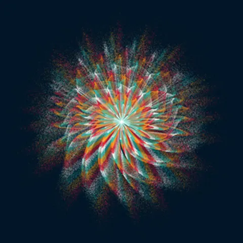 CIRCULAR MURMURATIONS #81