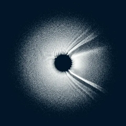 CIRCULAR MURMURATIONS #85