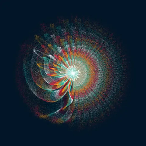 CIRCULAR MURMURATIONS #91