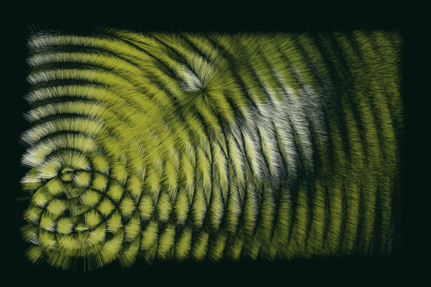 Folradura #306