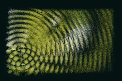 Folradura #306