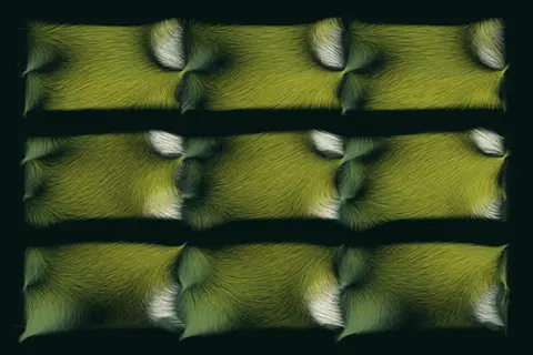 Folradura #57
