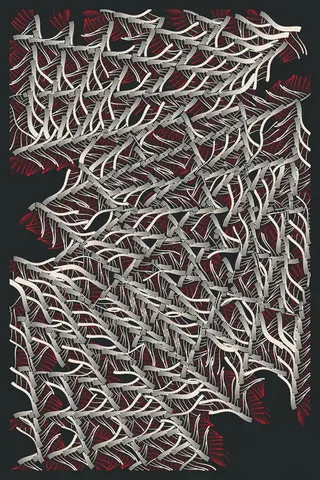 Intricada #13