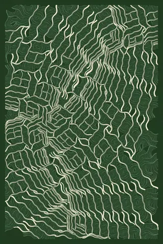 Intricada #148