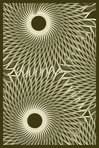 Intricada #171
