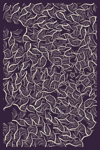 Intricada #226