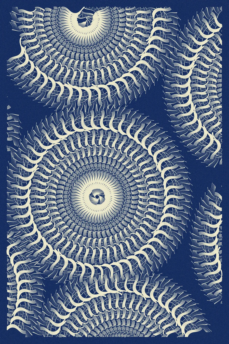 Intricada #241