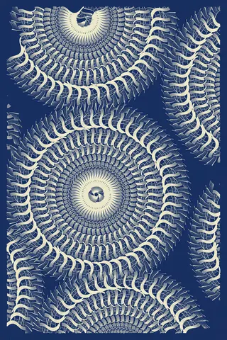 Intricada #241