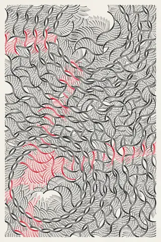 Intricada #244