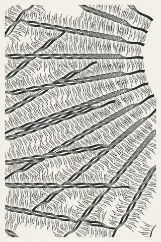 Intricada #41