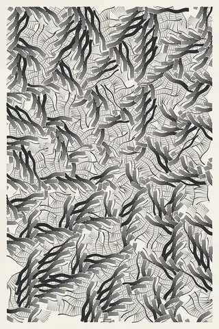 Intricada #62