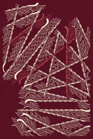 Intricada #63