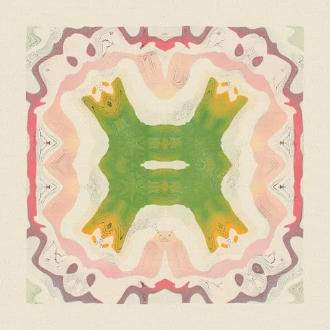 Symmetry #1017