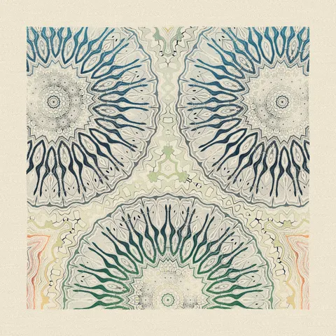 Symmetry #1133