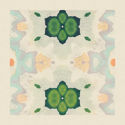Symmetry #1157