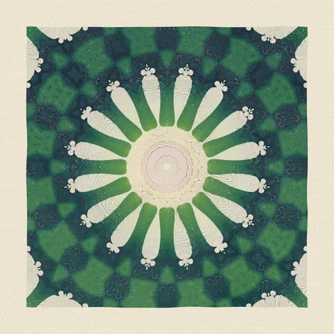 Symmetry #1164