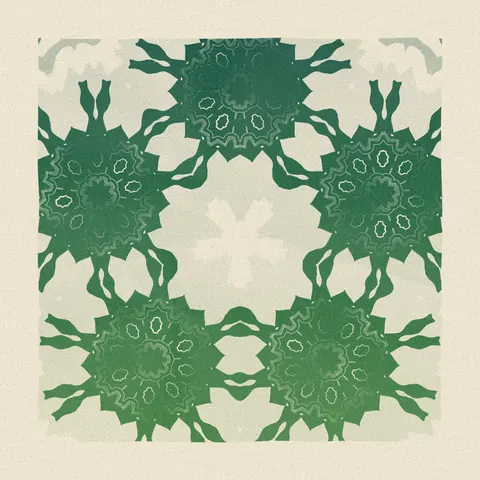 Symmetry #1205