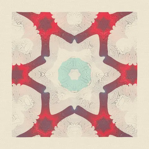 Symmetry #1309