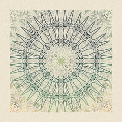 Symmetry #1347