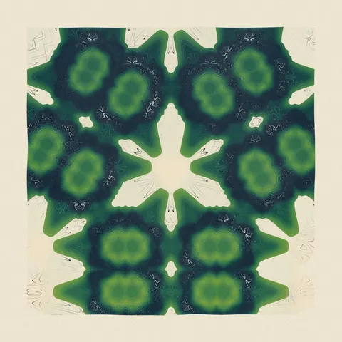 Symmetry #1558