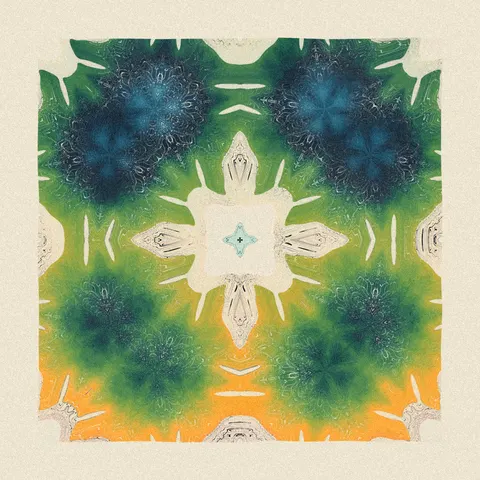 Symmetry #1579