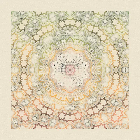 Symmetry #307