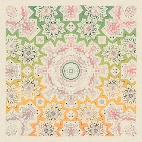 Symmetry #313