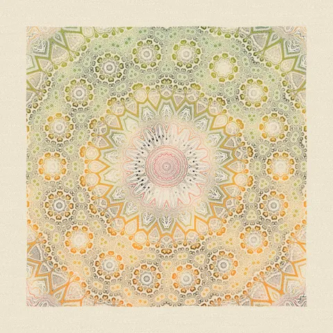 Symmetry #316