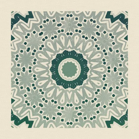 Symmetry #381