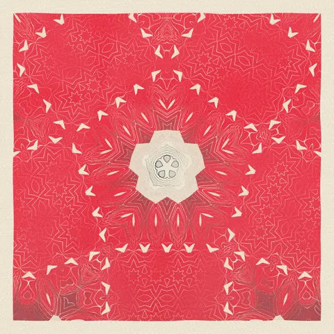 Symmetry #491