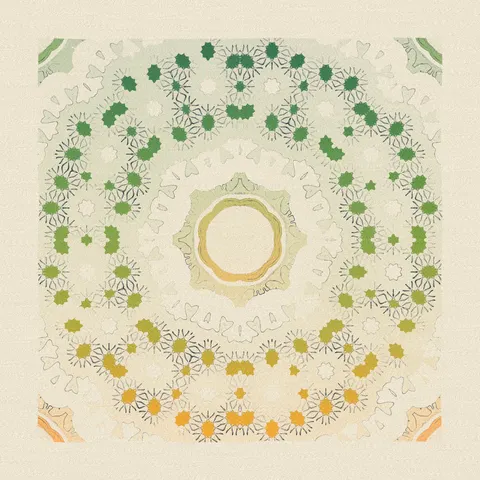 Symmetry #79