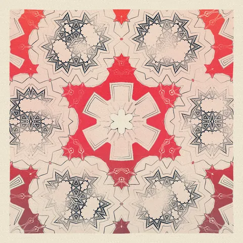Symmetry #80