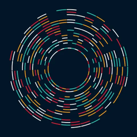 THE PERSISTENCE OF ORDER #138