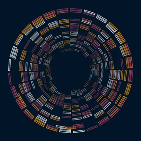 THE PERSISTENCE OF ORDER #147